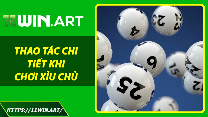 Thao Tác Chi Tiết Khi Chơi Xỉu Chủ