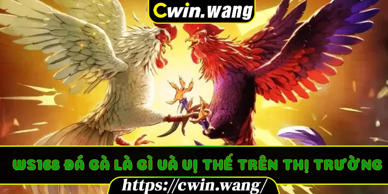 WS168 Đá Gà là gì và vị thế trên thị trường