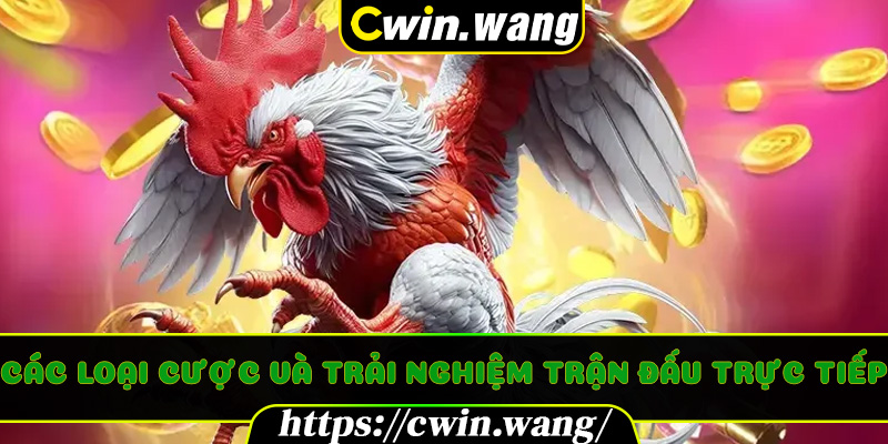 Các loại cược và trải nghiệm trận đấu trực tiếp