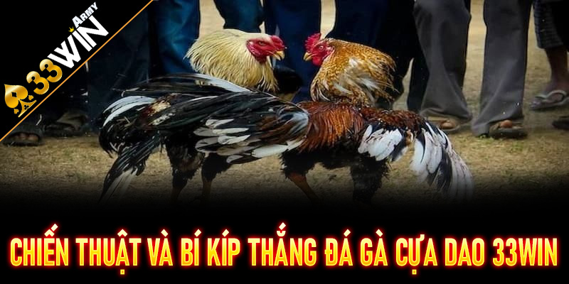 Chiến thuật và bí kíp thắng Đá Gà Cựa Dao 33Win